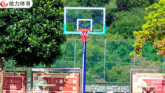 江門學?；@球架